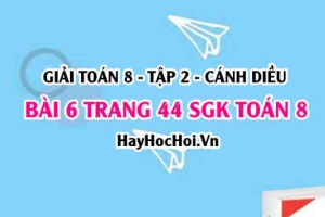 Bài 6 trang 44 Toán 8 Tập 2 Cánh Diều
